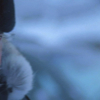 Diamonds_ep2_140
