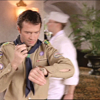 goose_356