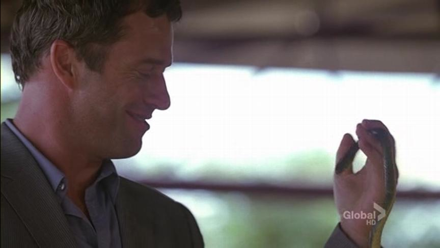 The.Philanthropist.S01E04.HDTV.XviD-LOL.avi_000045045