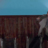 The.Philanthropist.S01E04.HDTV.XviD-LOL.avi_001179428